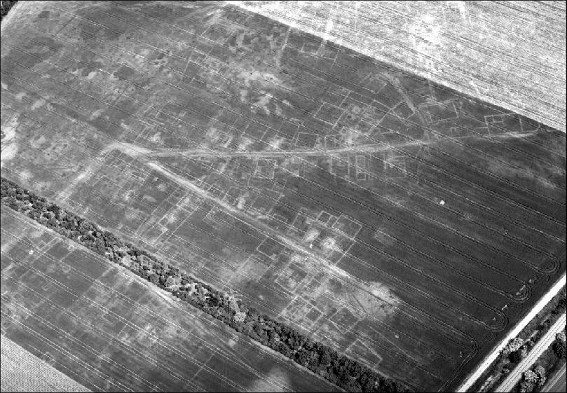 Oblique aerial photo showing crop marks caused by the remains of the Roman city. (Aerial Archive-University of Vienna)