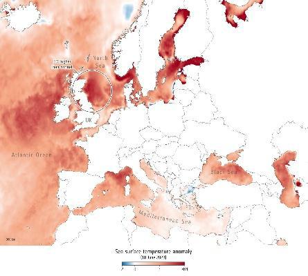 Sea surface temperature record, ESA