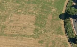 Example of crop marks in the field in the UK.